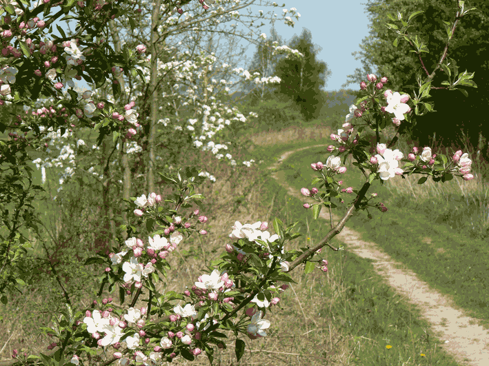 Chemin au Pommier