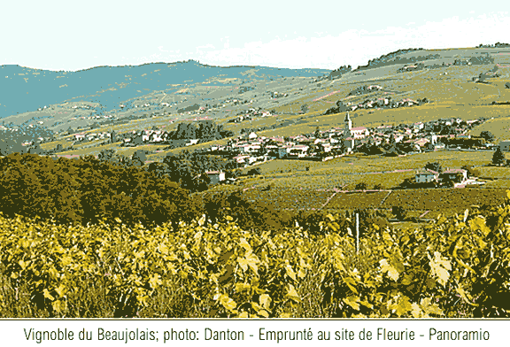 Vignoble du Beaujolais; photo Danton