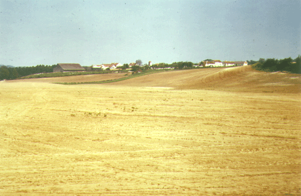 Le Pr Hue 1980