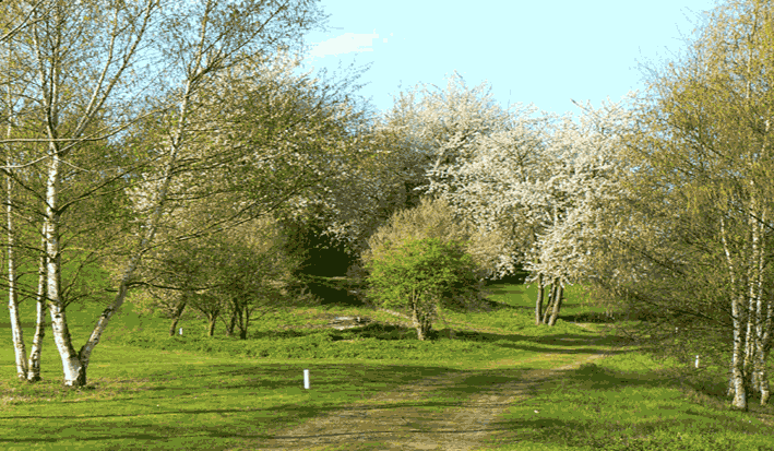 GR1; chemin Plessis Bellefontaine