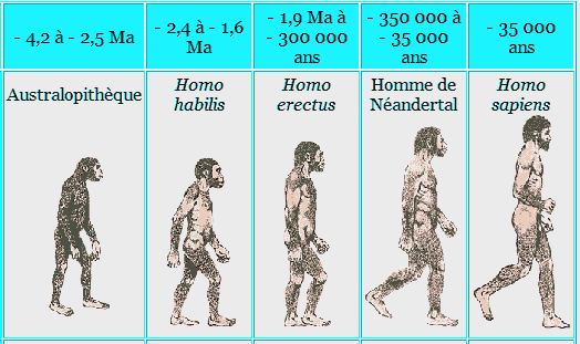 HomoTerraAmata