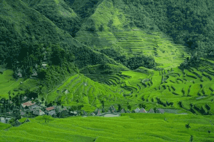 Admirables paysans qui transformrent les montagnes de Bali en garde-manger