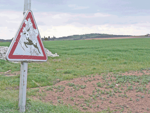 Panneau de la cote 138 entre Champltreux et Lassy