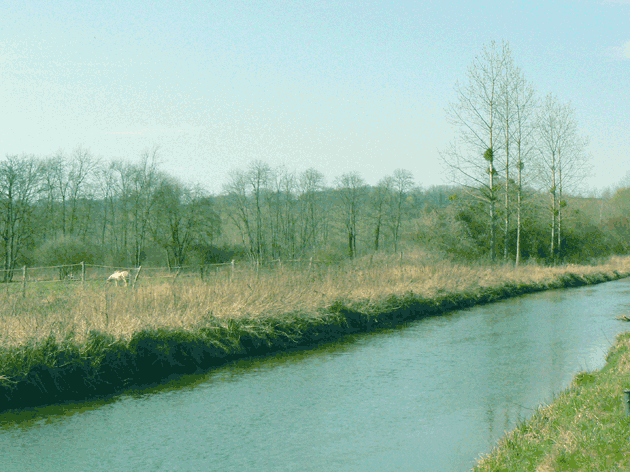 Environs de Mareuil: le Clignon