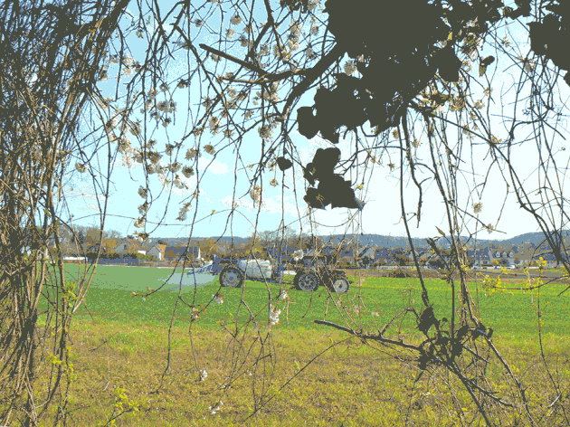 Passages de faune d'Asnires-sur-Oise