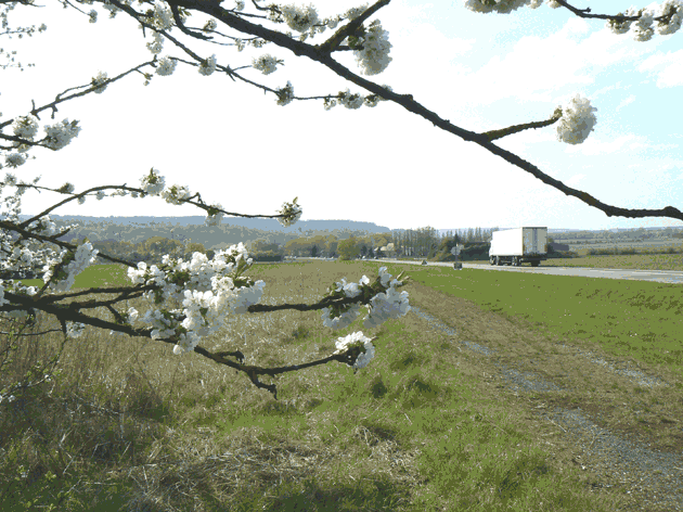 Passages de faune d'Asnires-sur-Oise