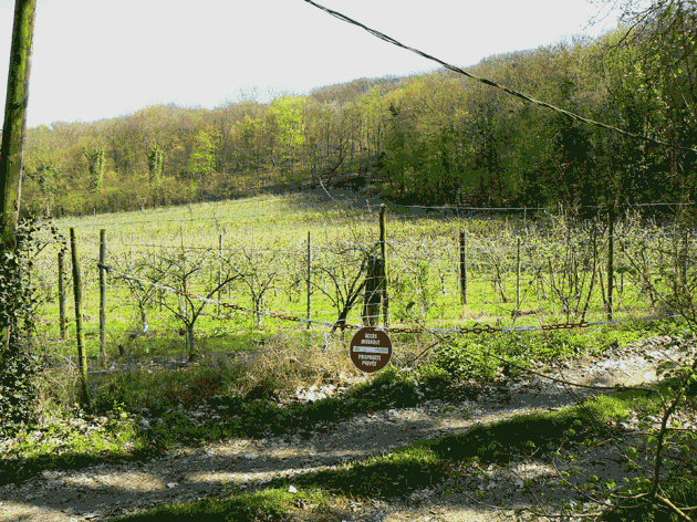 Passage de faune Seugy