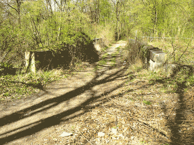 Passage de faune Seugy